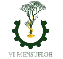 Sexto mensuflor
